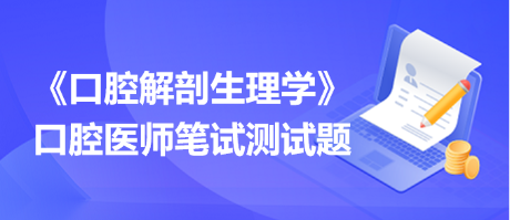 口腔解剖生理學測試題