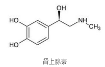 圖片2