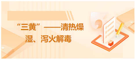 “三黃”——清熱燥濕、瀉火解毒