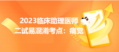 2023臨床助理醫(yī)師二試易混淆考點：痛覺