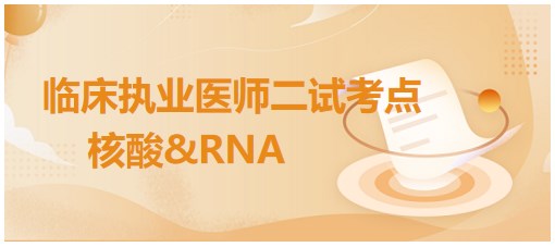 核酸&RNA