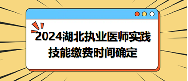 2024湖北中西執(zhí)業(yè)技能繳費